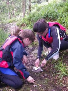 Bush Craft on the move